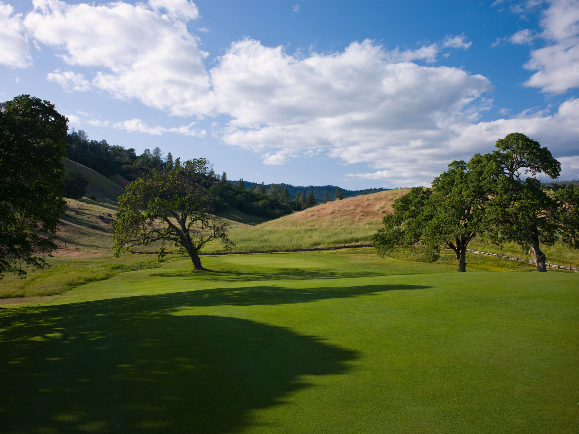 Both tee shot and approach at the par-4 6th had to thread the needle between magnificent oak trees.