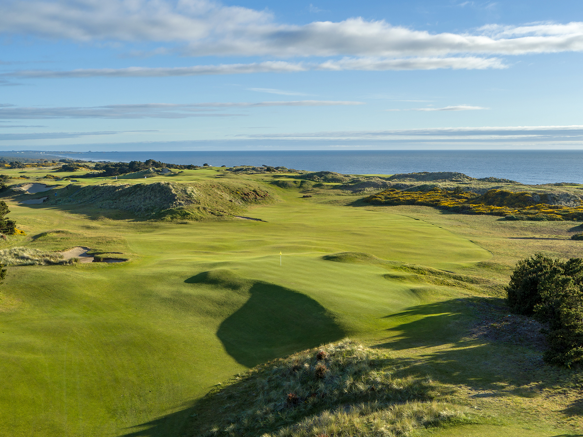 Pacific Dunes