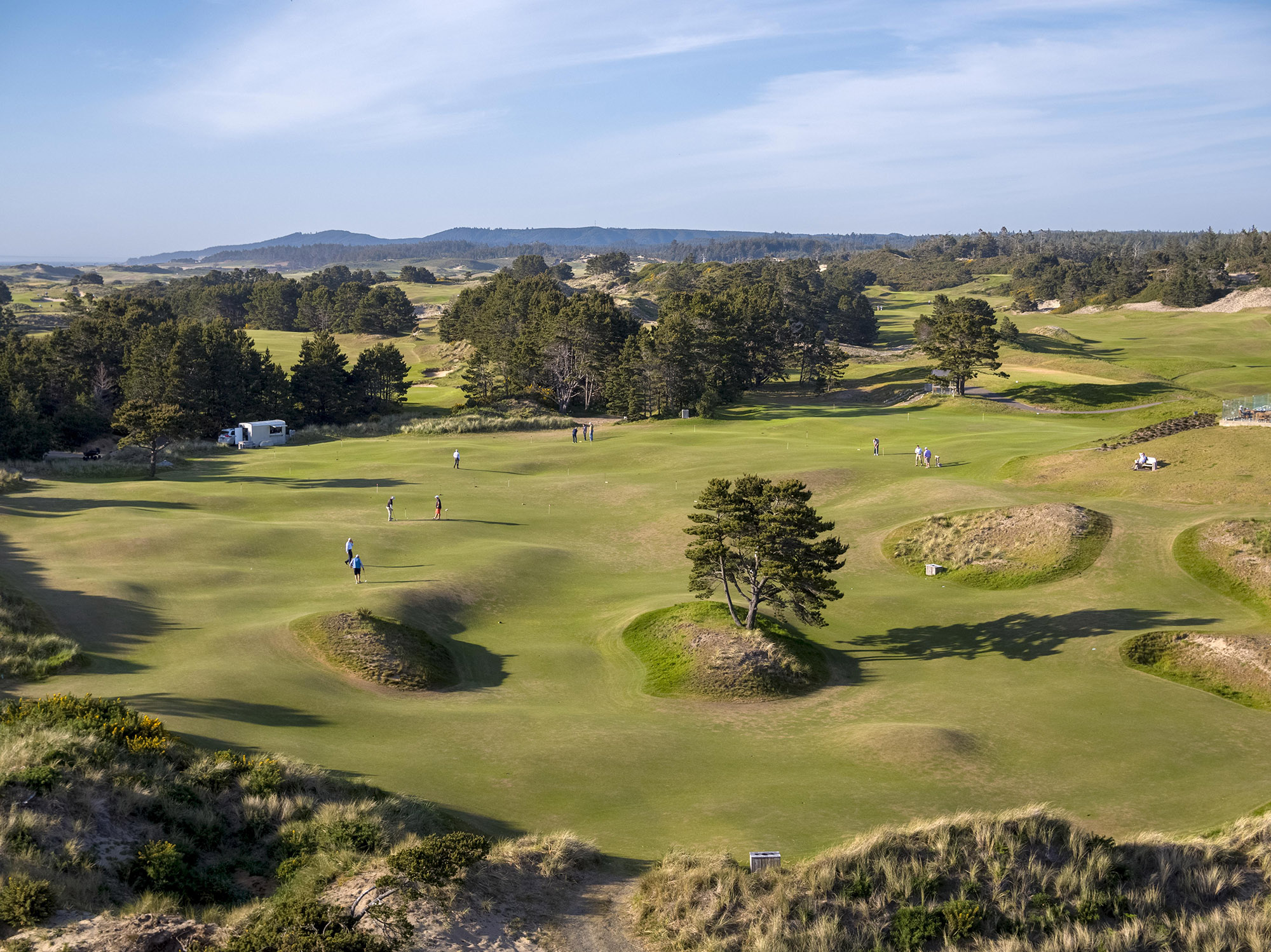 The Punchbowl